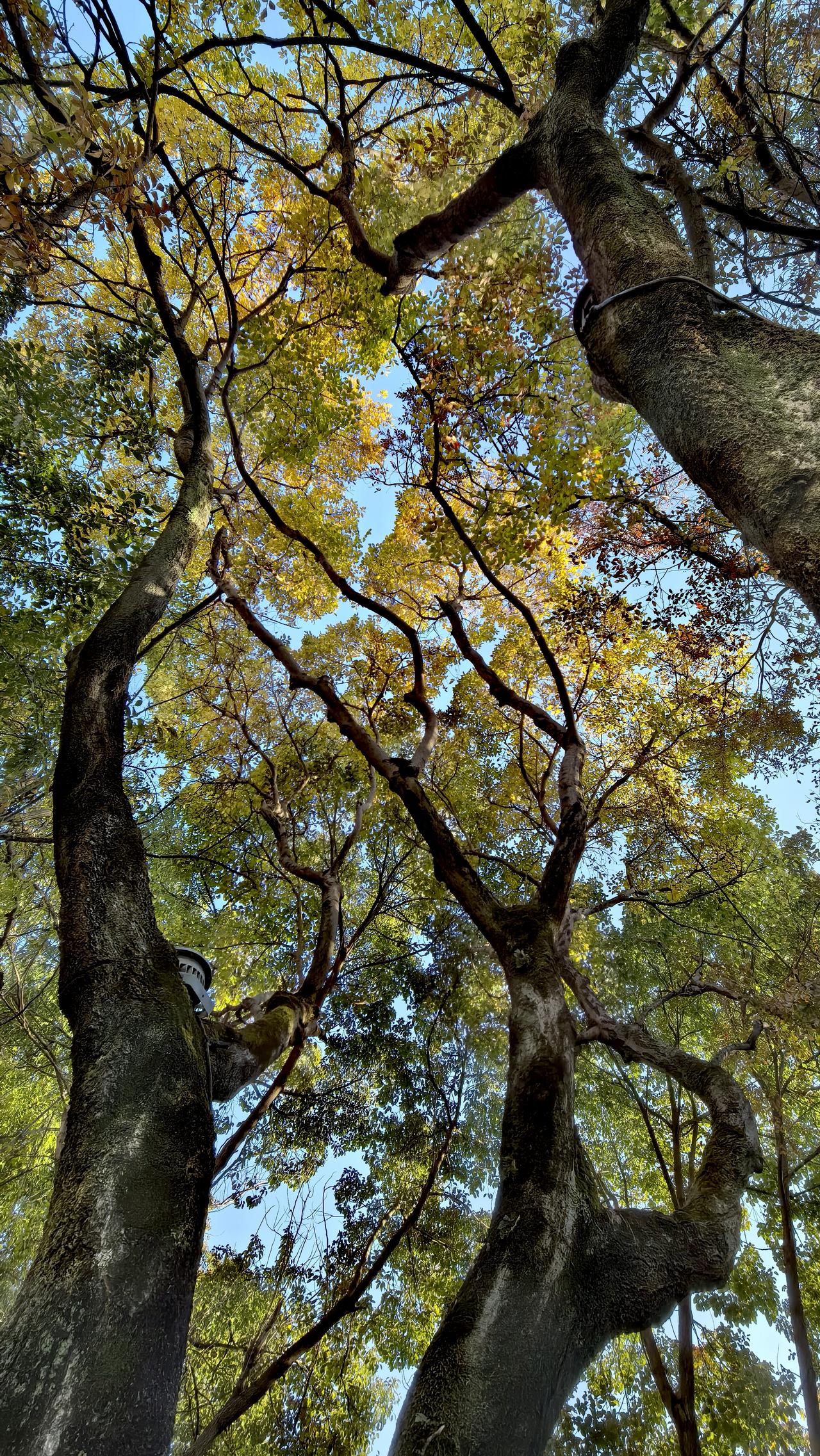 爬山随手拍，处处是风景
