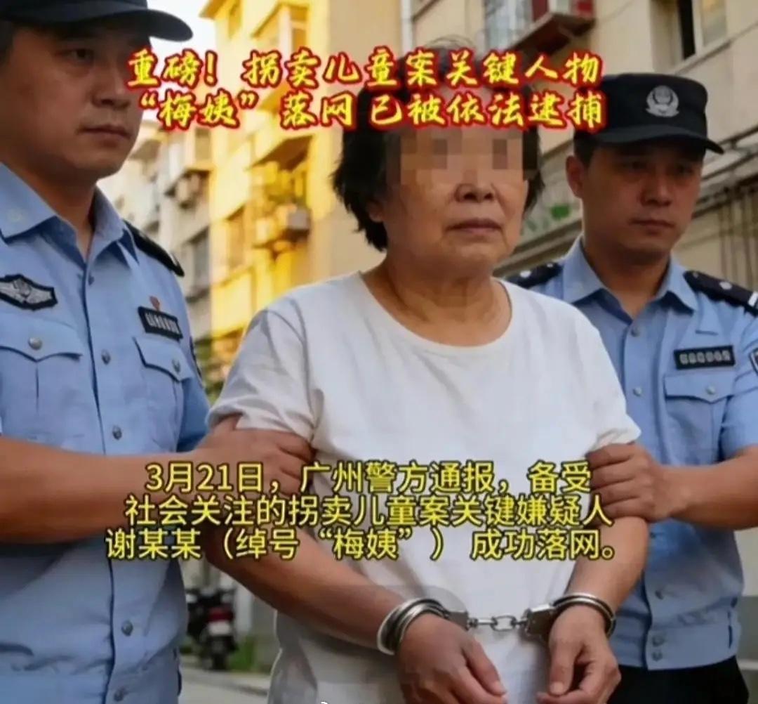 特地去查了一下人贩子梅姨，她真的是罪大恶极。她拐卖了9个孩子，这还只是被爆出