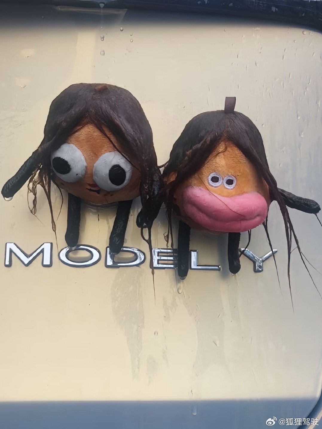 命好苦的样子哈哈哈哈哈哈哈哈