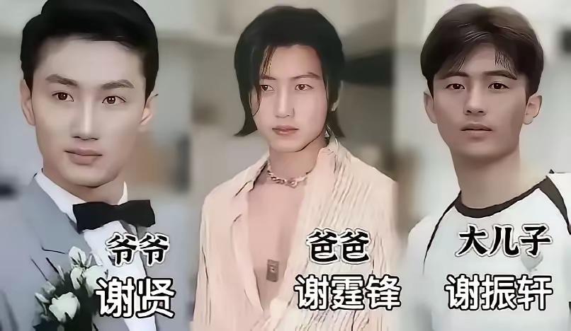 老谢家这颜值确实有点一代不如一代的感觉了！当年的谢贤在娱乐圈里那真的是有名的