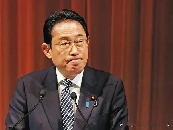 岸田文雄发声了！很多人以为这是忧国忧民的“老成谋国”之言，是在教后辈做事。错了！
