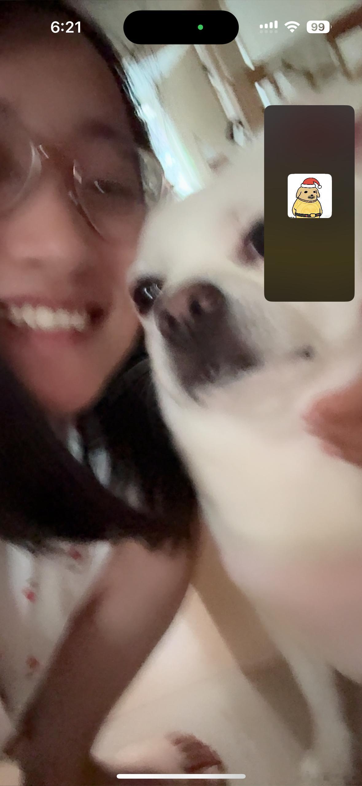 心爱的小妹