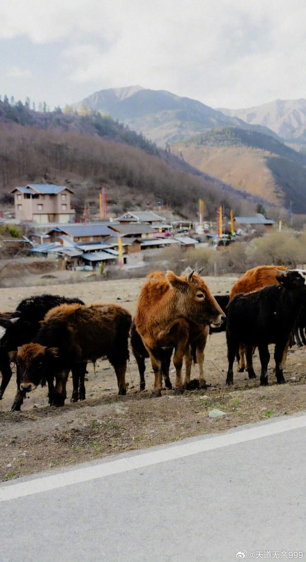 世界最强超高强度碳纤维来了人类文明，就是一部“用什么材料，就过什么日子”的历史。