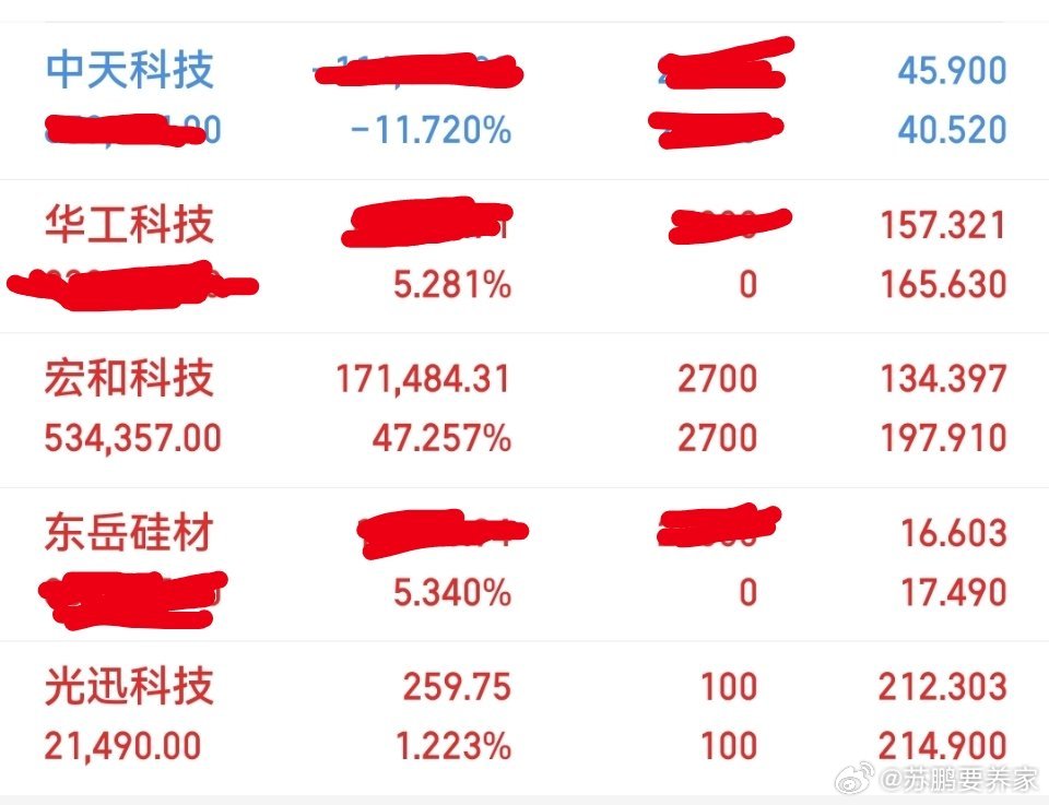 今日操作新买进了华工科技，东岳硅材目前持有：宏和科技，中天科技，光迅科技，华工科