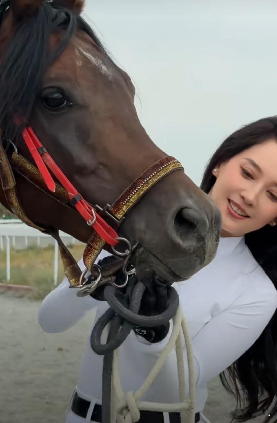 汪峰女友森林北状态汪峰女友森林北骑马体验英姿飒爽，森林北性格很豪爽！气质绝