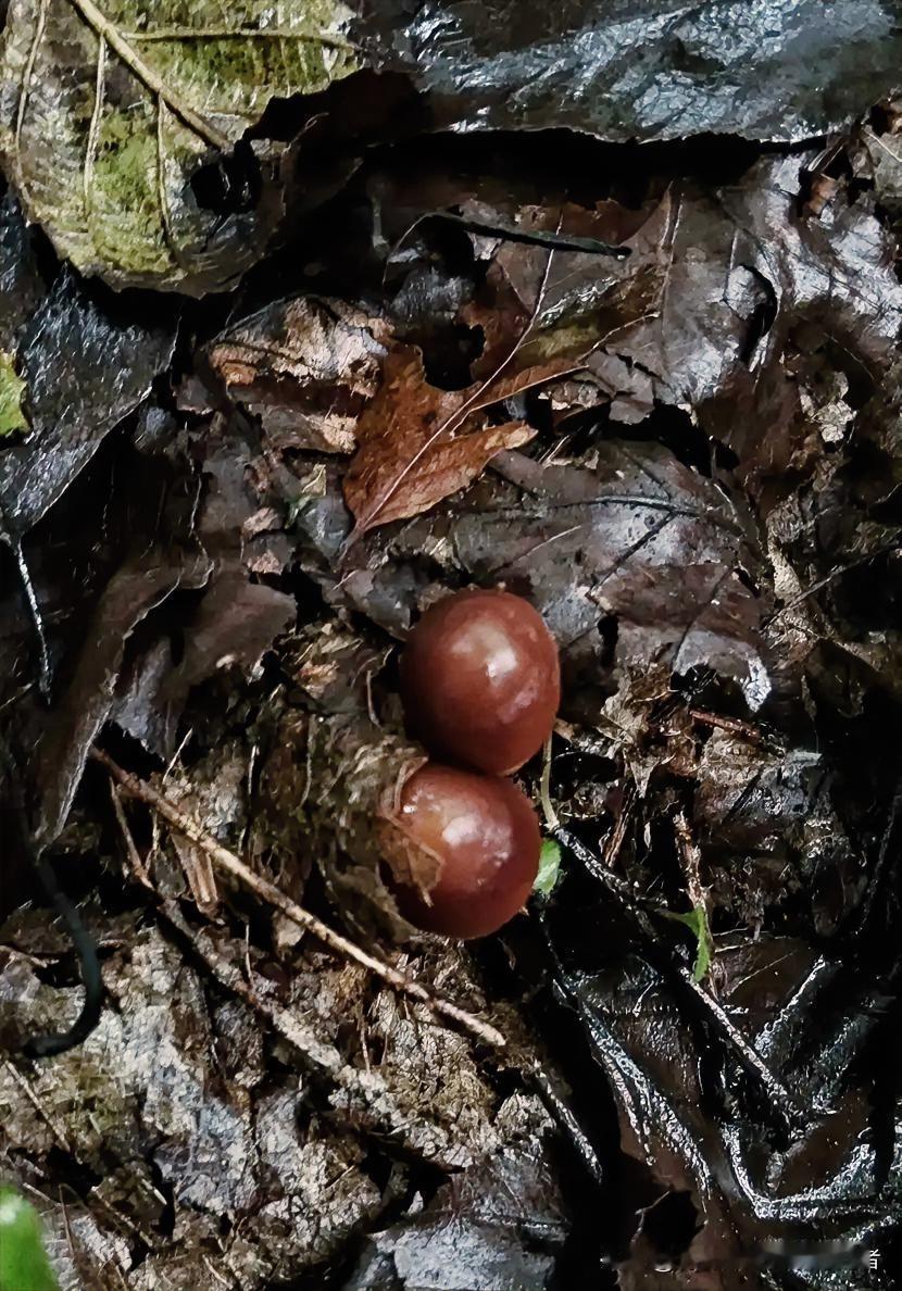 人到中年，啥最要紧？就俩事儿人到中年，日子过得越久越明白，啥功名利禄都不如