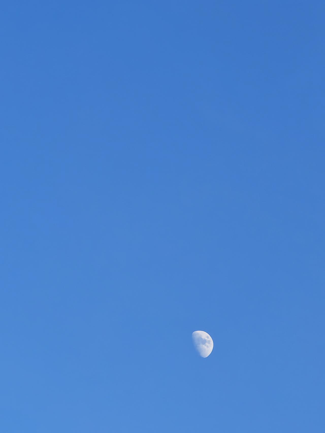 后秦的安全保密工作没有做好，皇帝姚苌的行踪暴露。前秦皇帝苻登发动“斩首行动”
