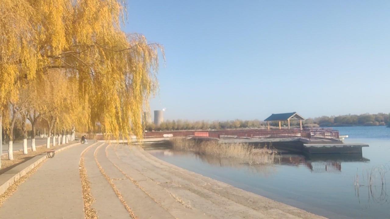 周末去了趟金昌东湖，真的被这里的景色惊艳到了！🌿一进公园就被满眼的绿色包围