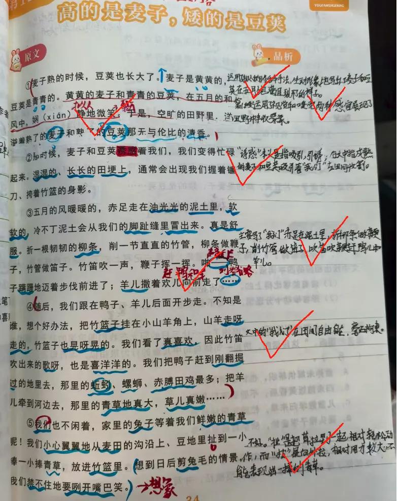 语文网课保姆级攻略普娃找网课其实很简单就记住三句话1、别找大语文2、要有