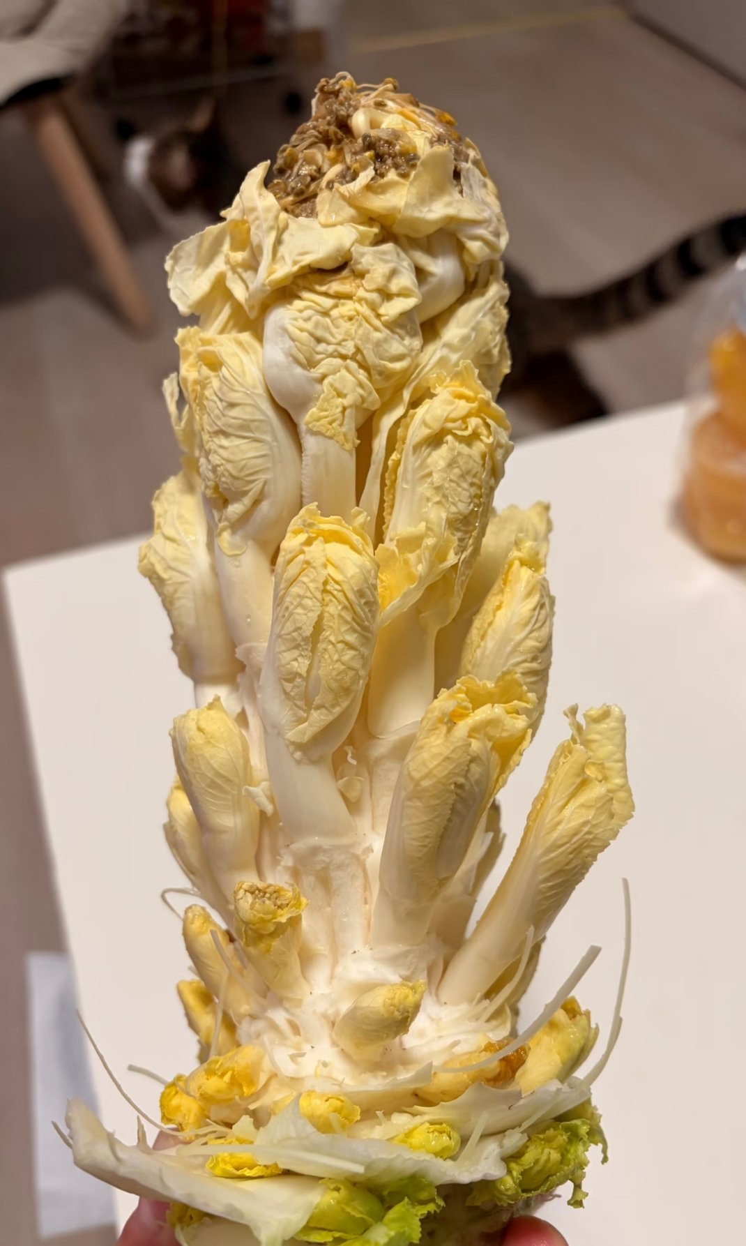 娃娃娃娃娃娃娃娃娃菜，千手娃娃