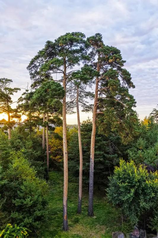 人真的是靠自信活着。有时候搞定了一件牛逼事，自信感爆棚，能连续几个月状态特别好，