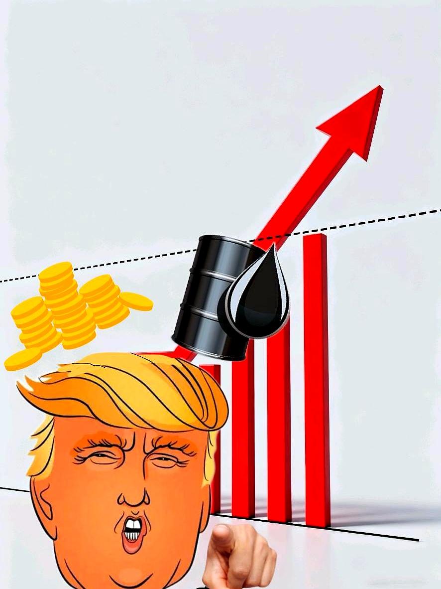 电话里她一句话把兴奋浇了冷水：明天可能全停了。说眼下这种局面，黄金和石油看着要