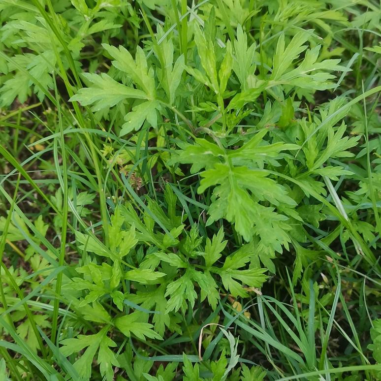 对于失智失能的老人来说，月三千的养老金当然不够。如果选择略微好一点的养老院养老，