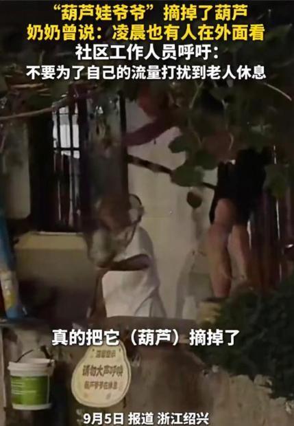 葫芦娃爷爷流量暴力陈金敖爷爷剪断藤蔓的那一刻，断送的不只是六个葫芦，更是一场