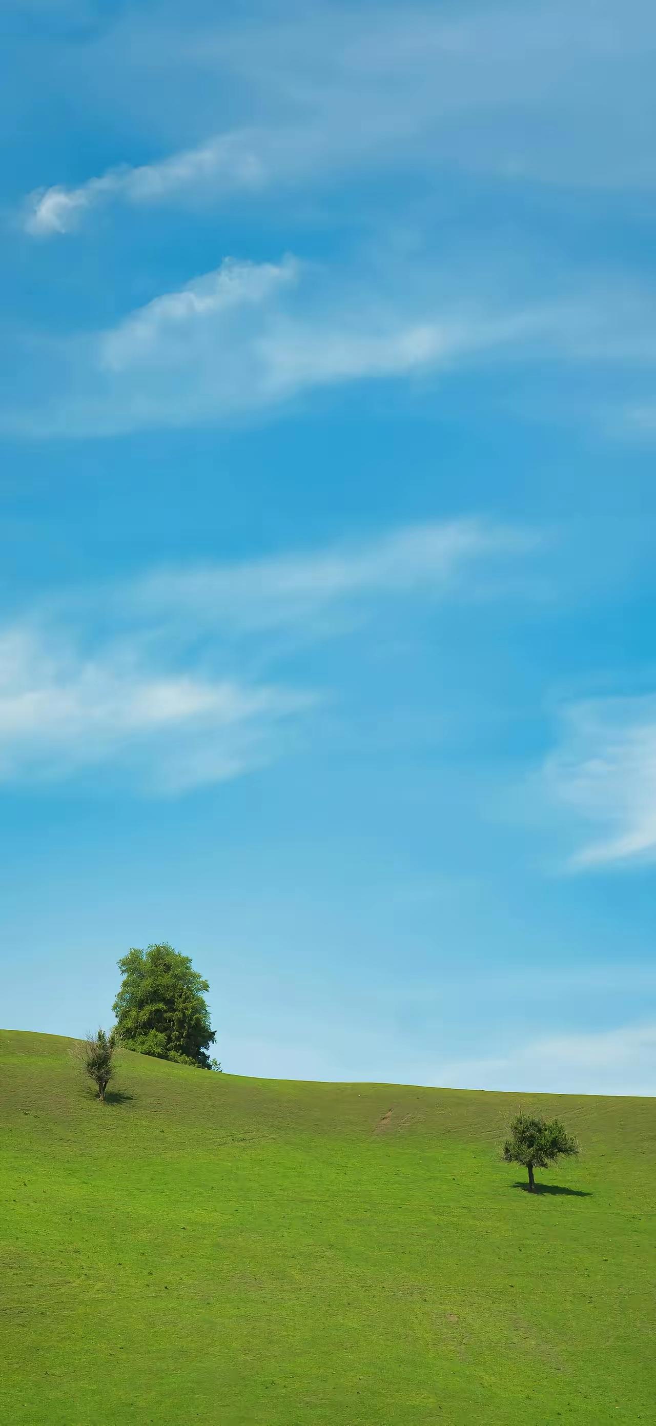 财经专家说:“绝大多数都是假有钱人，真正的有钱人不多，都是驴粪蛋子。事实上，我们