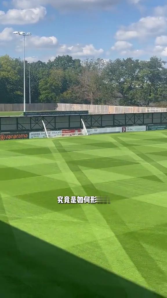 为什么足球场地上有条纹？这种整齐划一的深浅色块究竟是如何形成的？是播种了不同品种