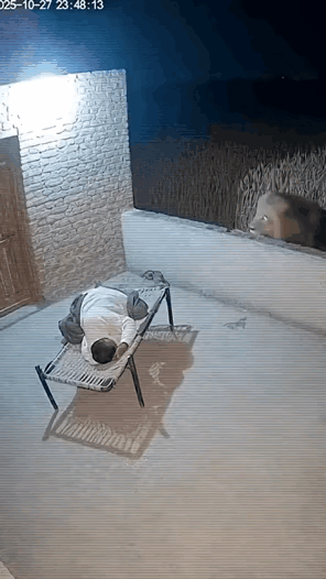 吓死了，不知道这人最后怎么样了？酒醉死了再不睡觉就死了死人的现场死亡恐怖