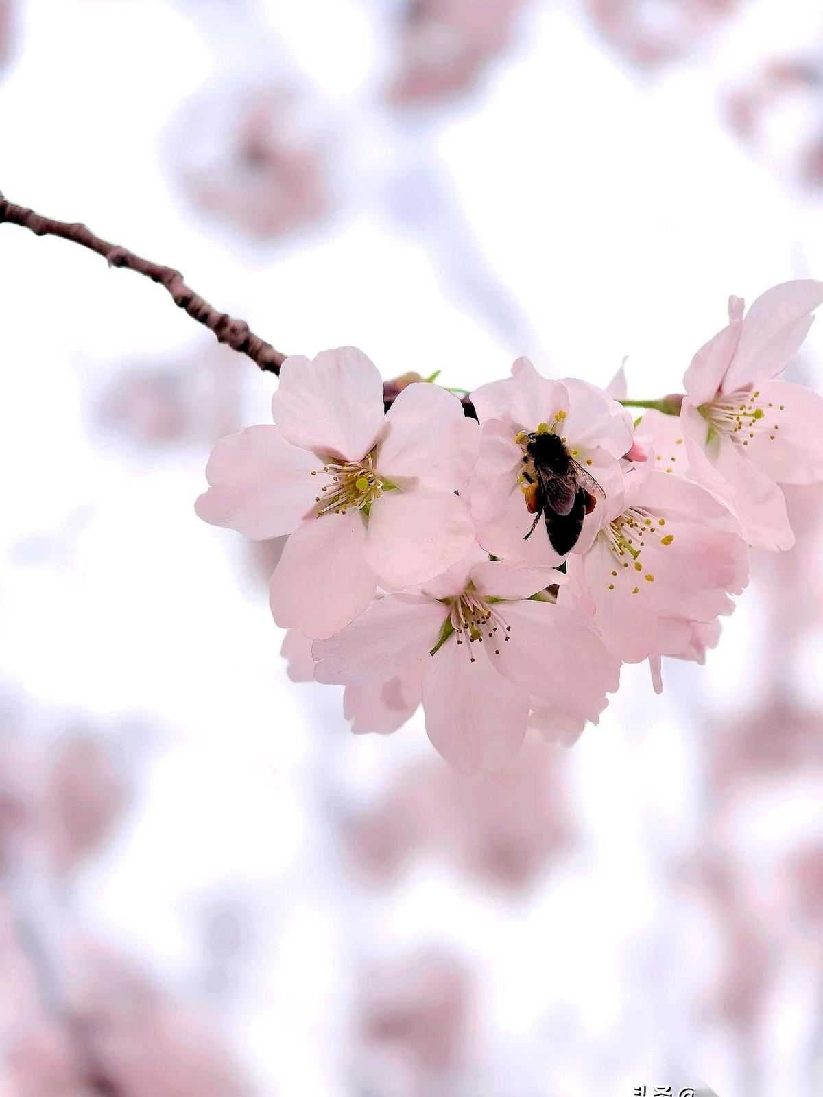 转账5000元的确认键，我点了下去。下一秒，我竟然在愧疚，怎么没凑个1万块。手