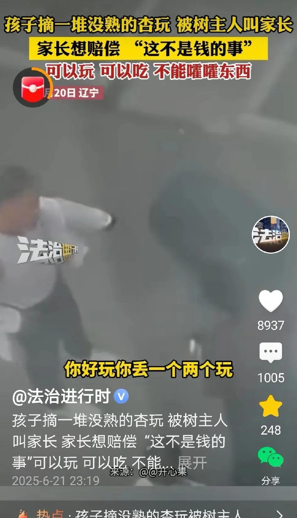 辽宁，一小孩摘了许多没熟的杏玩，杏树主人看到后，将孩子家长叫过来，孩子家长表示愿