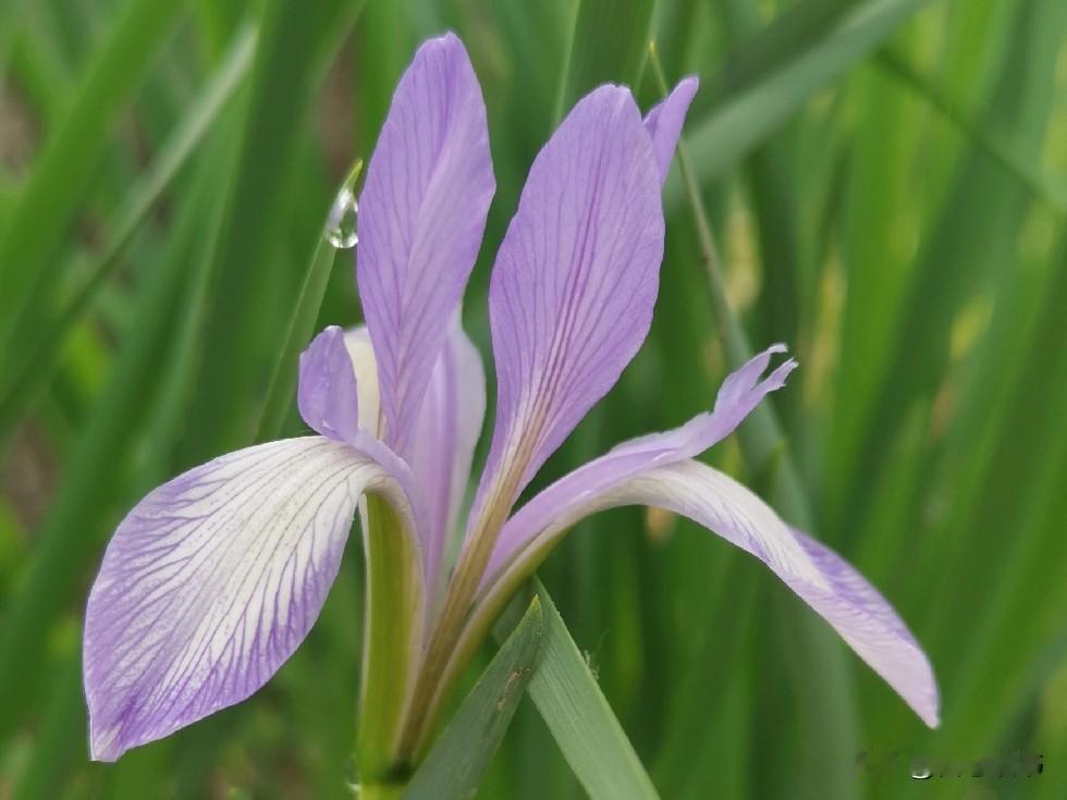 55～65岁，是决定长寿最关键的10年，对自己的养老钱一定要谨慎花，这3个地方千