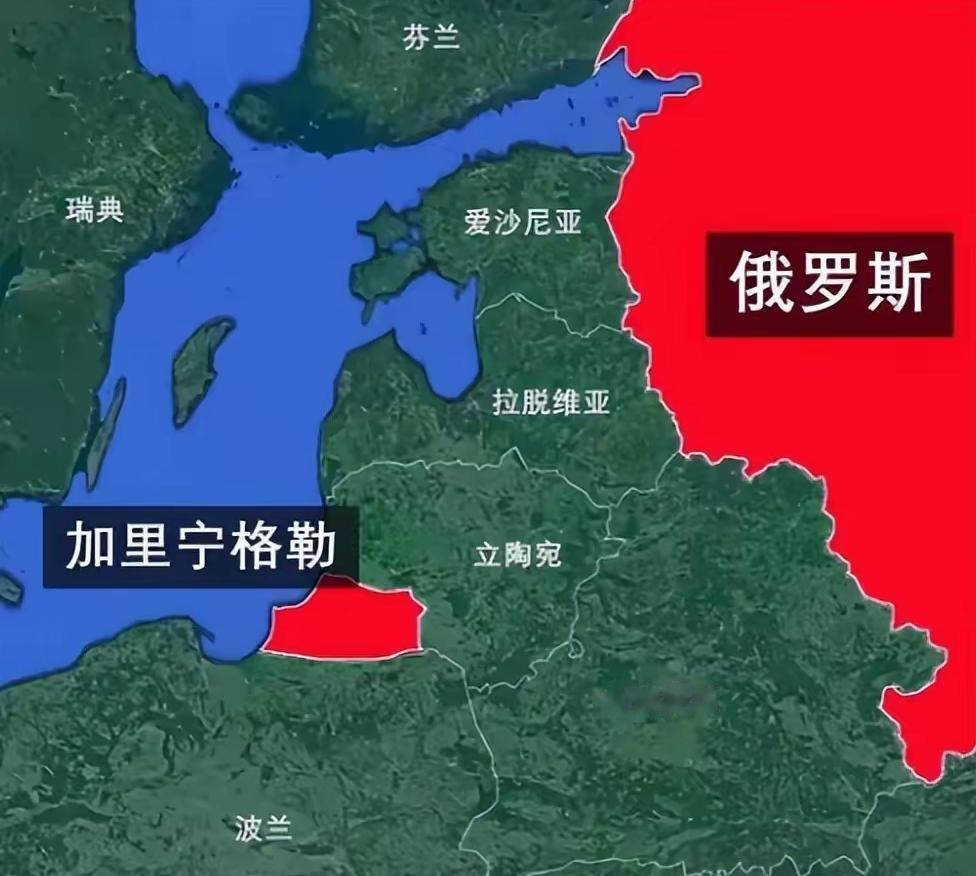 立陶宛再次挑衅俄罗斯，立陶宛官员在接受《新苏黎世报》采访的时候发表了一番激烈的言