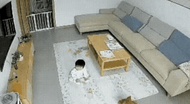吓我一跳!刷到视频第一眼还以为狗子要欺负小主人,结果下一秒直接被狠狠打脸!