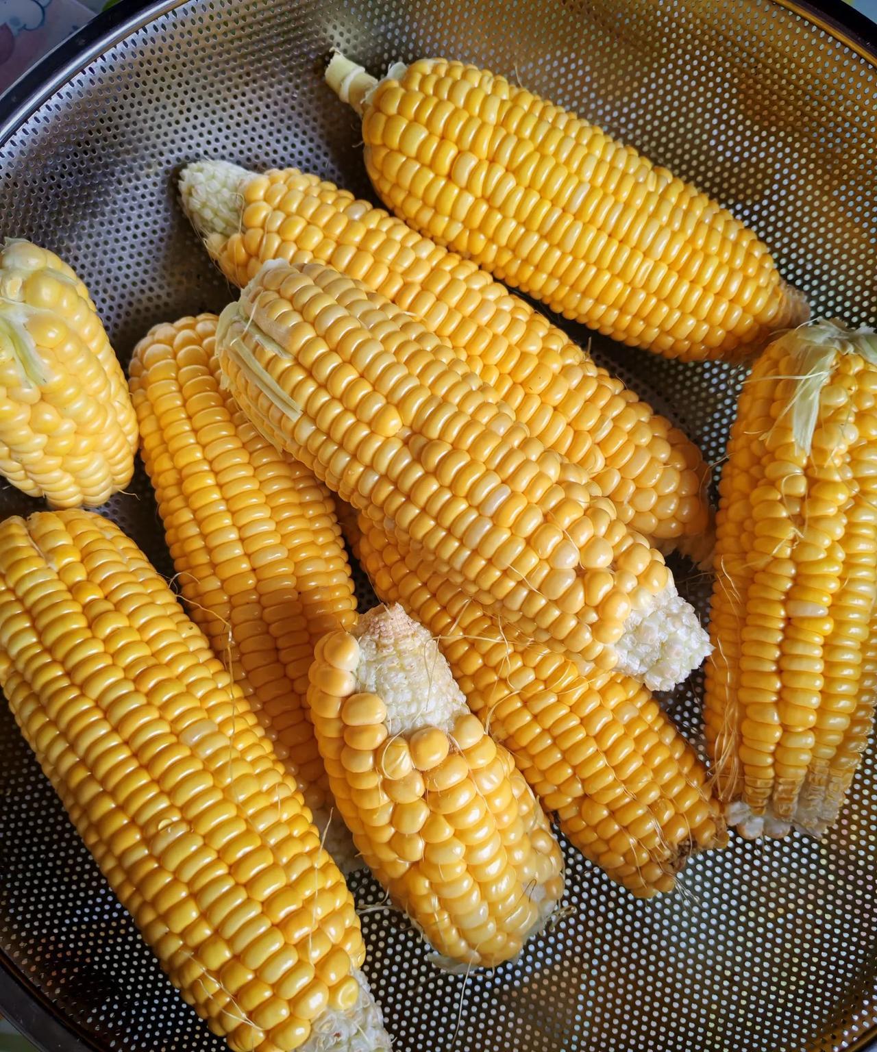 第一季甜玉米终于吃完了，第二季豆角是专门吃豆子的，我不知道，被我摘了，还纳闷比第
