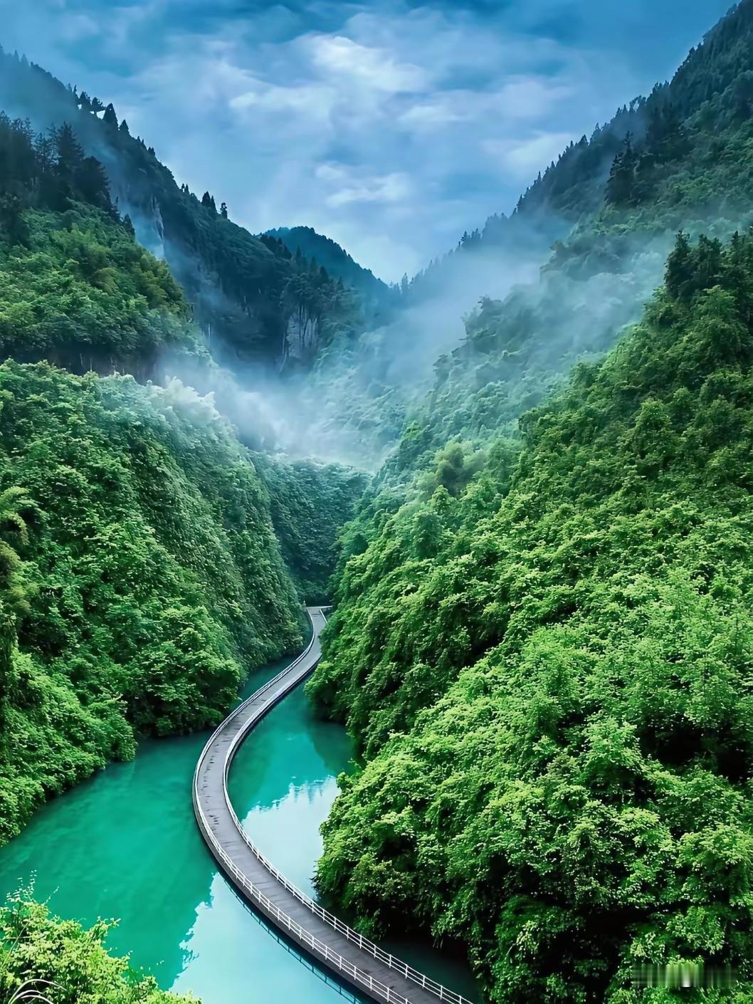 想要内核变强，一定要守住这8个生活习惯🌿1、慢下来唤醒内心，而非追赶时间