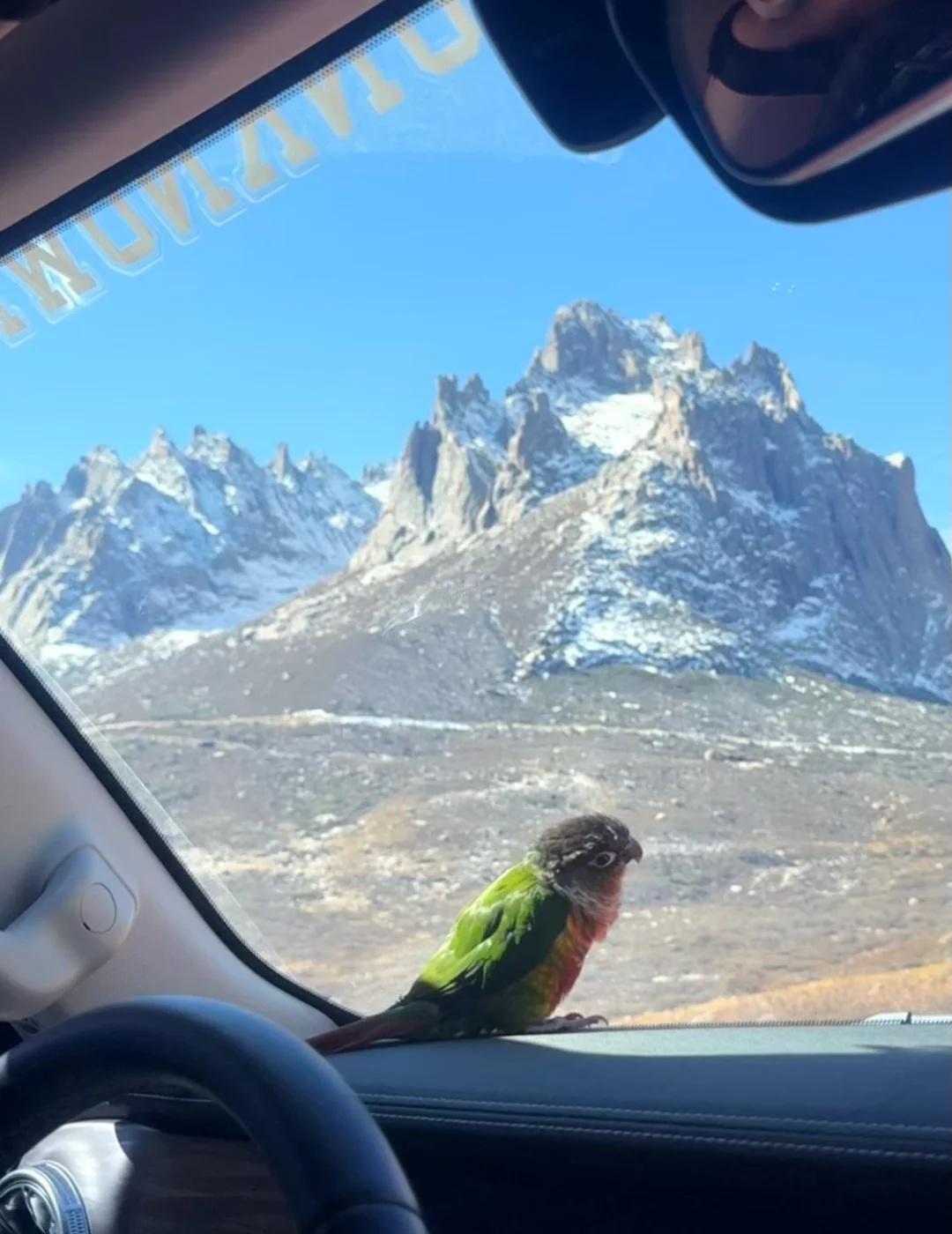 ⛰️莲宝叶则|山的那边我会亲自去看🦜带着小鸡自驾游之莲宝叶则！小鸡不下