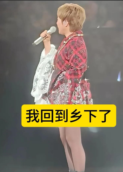 香港歌手陈慧娴在广州演唱会的一句“我回到乡下了”直接冲上了热搜！很多人不
