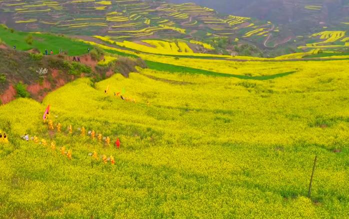 想知道: 天水市 甘肃武山县,甘谷县水帘洞-大像山石窟