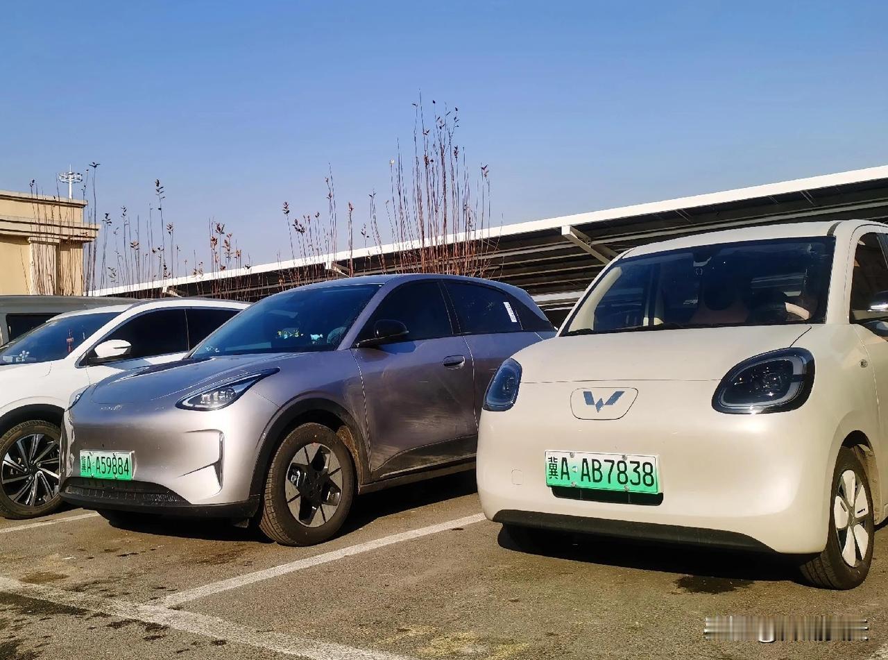 在停车场闲的无聊，四处卖眼：绿牌车已经有小一半了。坐在自家油车里，就像前些年，发