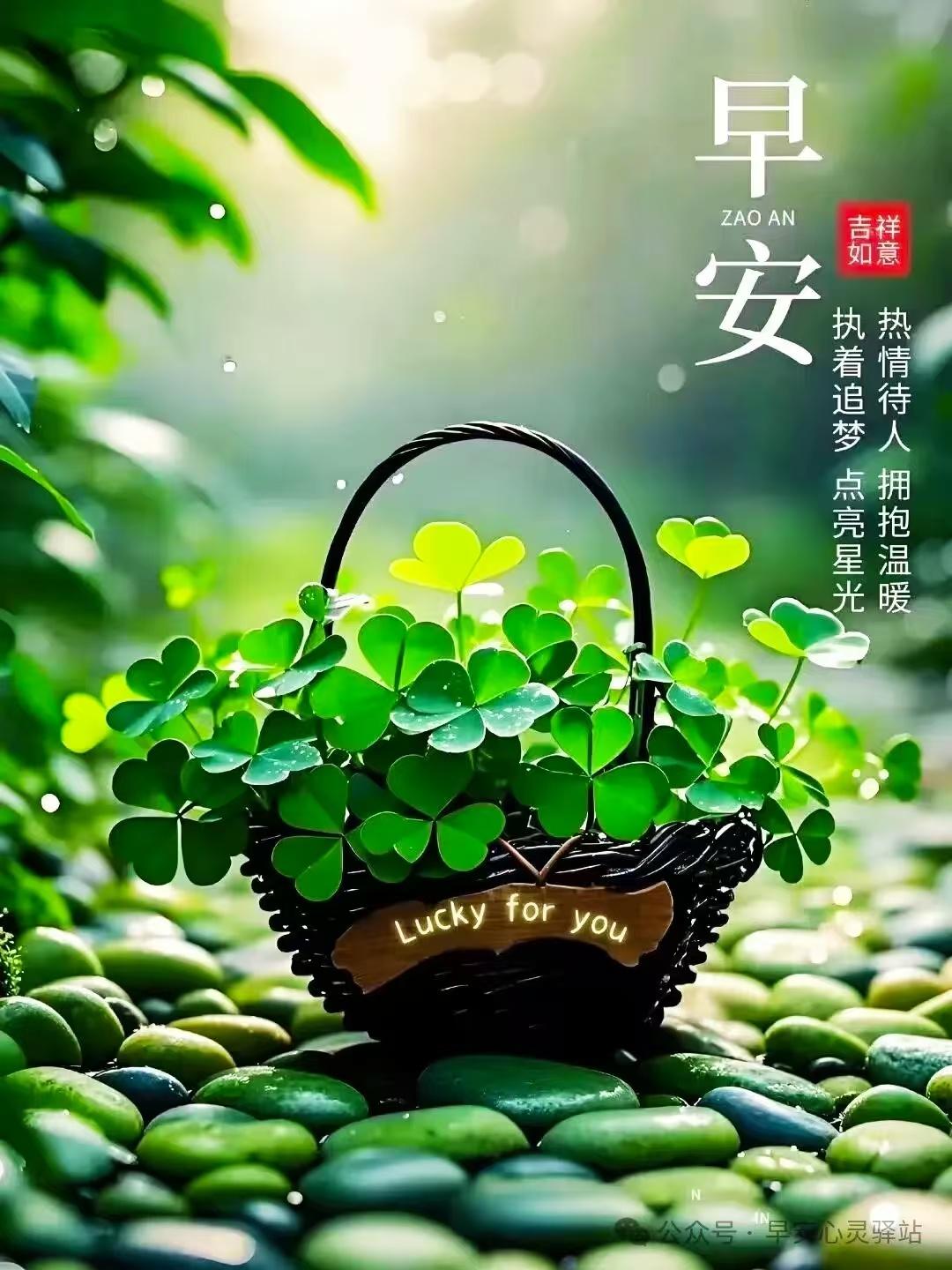 微笑開啟美好的一天，問候送去最美的祝福，惦念傳遞真誠的吉祥，叮嚀道一句快樂