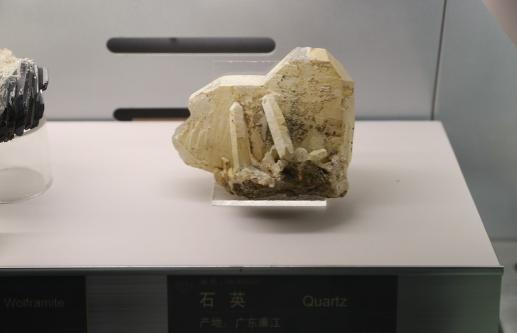 中国在西藏又有了大发现！ 据香港《南华早报》报道，咱们在西藏找到了大量的淡色