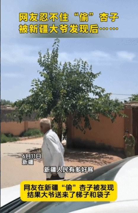 “太热情了！”新疆，一男子和朋友开车路过和田附近一户农家，看见院外的杏子金黄诱人
