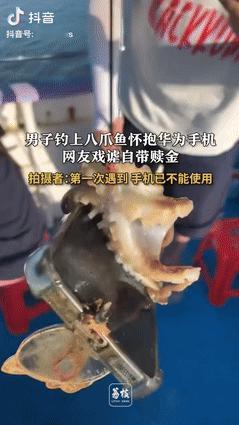 赚大发了！福建，一游客在海边钓鱼，刚开始拉鱼竿感觉好沉，满心欢喜以为钓了一条大鱼