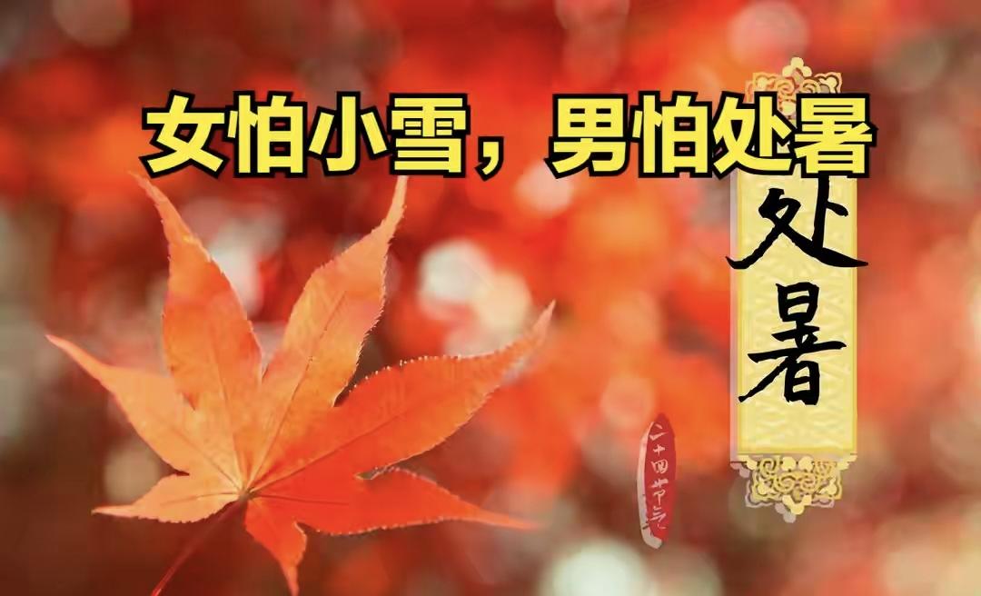"女怕小雪，男怕处暑"，今日处暑，提醒男人：做2事，忌3事今日处暑。公历8月