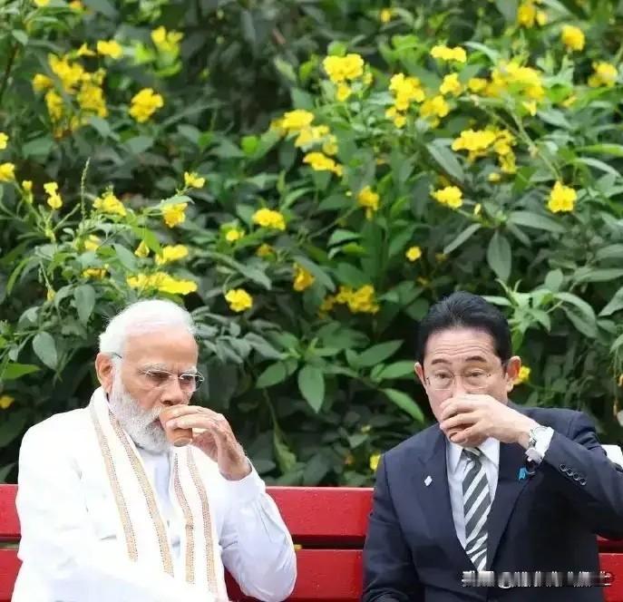 中日在对抗，印度没吭声！是不是有点反常？自认为是世界大国的印度三哥这次居然沉