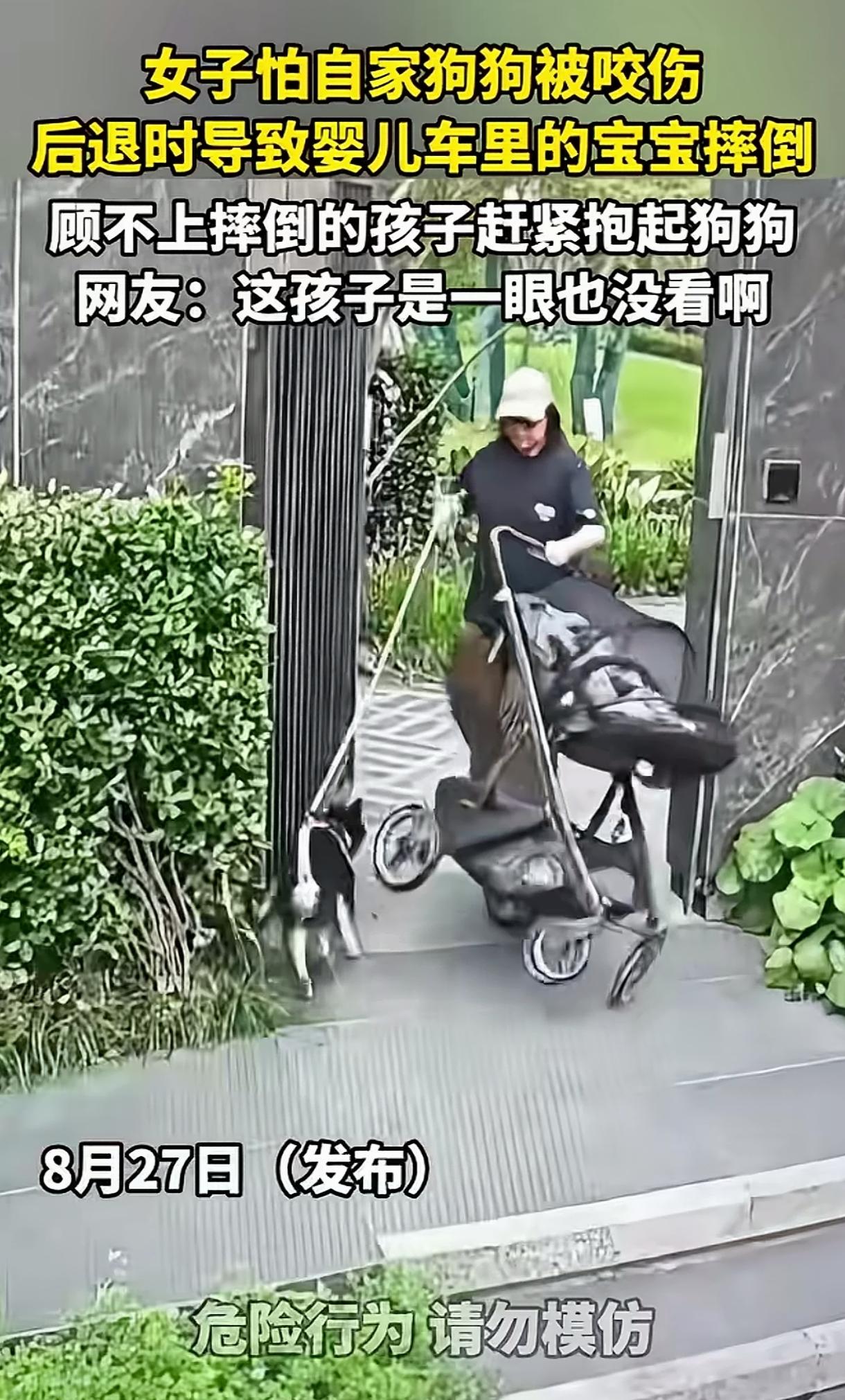真的是扎心的一幕啊！一女子带着几个月的娃一起遛狗，视频中出现一只大狗尾随，还女子