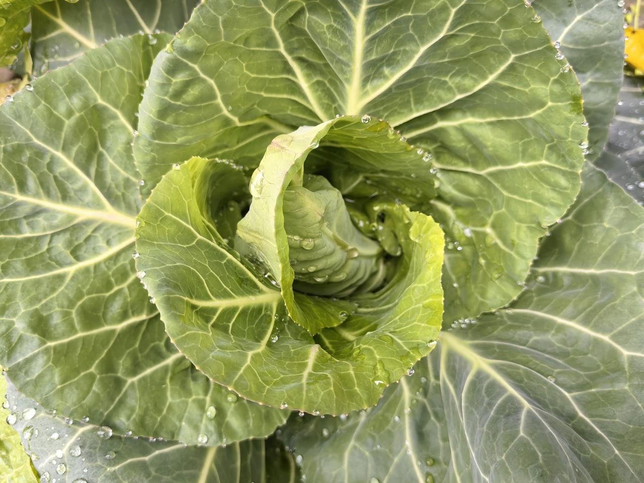 按现在的行情，男人娶妻不容易，主要大部分经济责任压在男方身上。1️⃣婚房和车