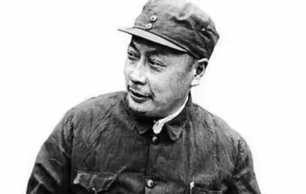 1963年，陈毅在成都街头散步，一个扎羊角辫的小丫头突然拦住他，仰头就问：你是大