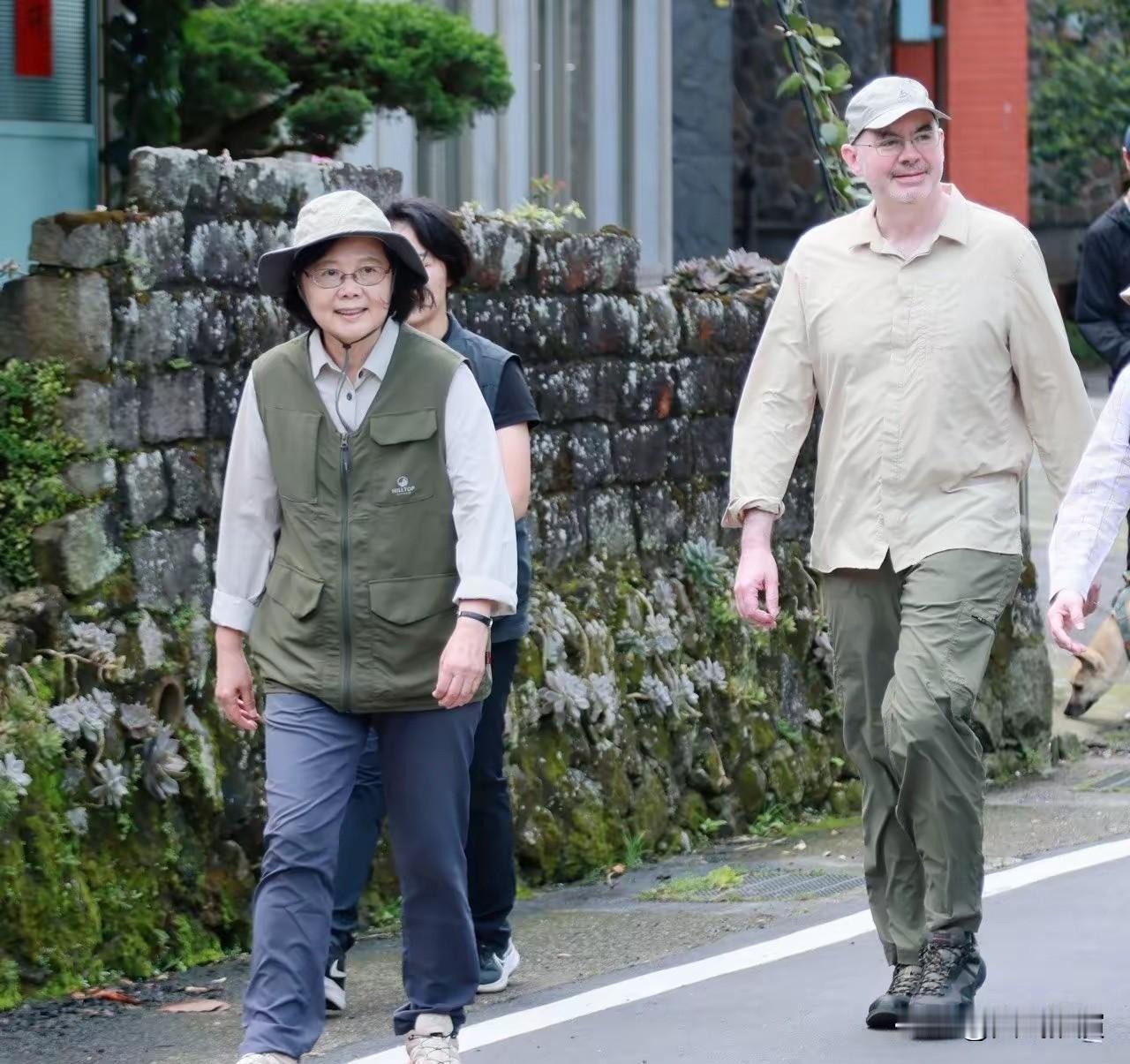 不玩了，蔡英文罢工了。7月19号这天，民进党要开全代会。按规矩，前任领导人怎