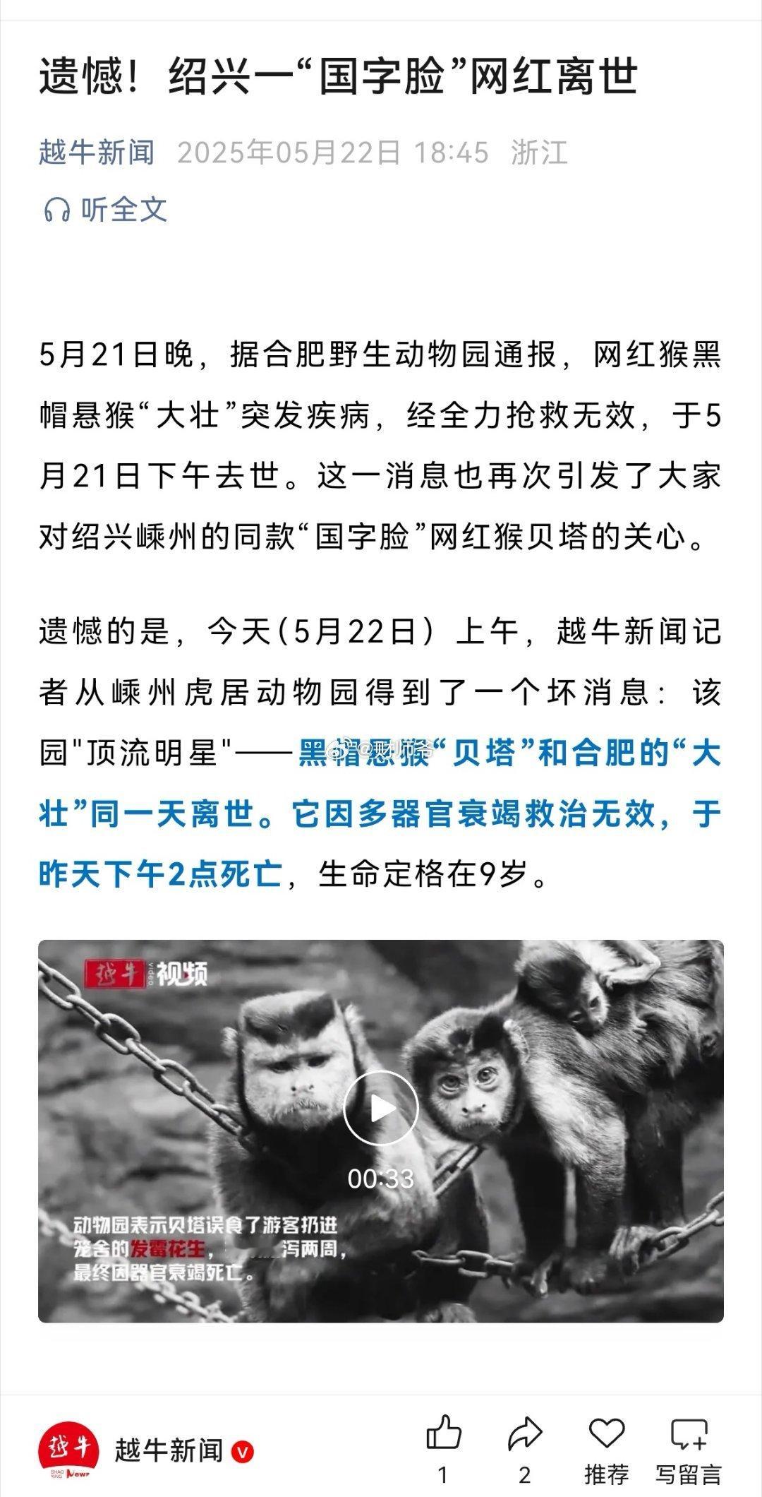 合肥动物园和绍兴嵊州动物园火出圈的网红“万斯猴”，竟然于昨日同一天去世。[哆啦A