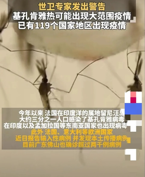 #世卫组织警告基孔肯雅热或流行#世卫组织都警告了，看来基孔肯雅热在
