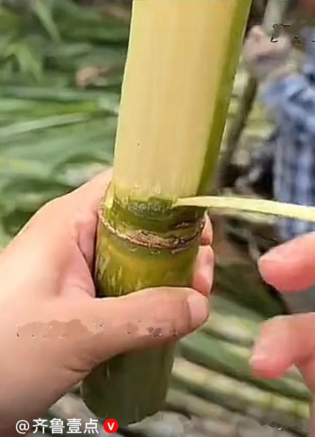 商机无处不在，就看你动不动脑筋，这才叫聪明，高！实在是高……浙江杭州