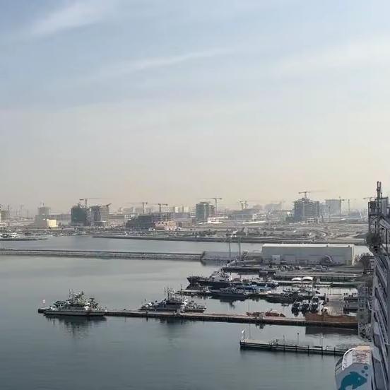 太魔幻了！花几万块去迪拜坐豪华邮轮，刚登船就被“封印”在港口，近5000人瞬