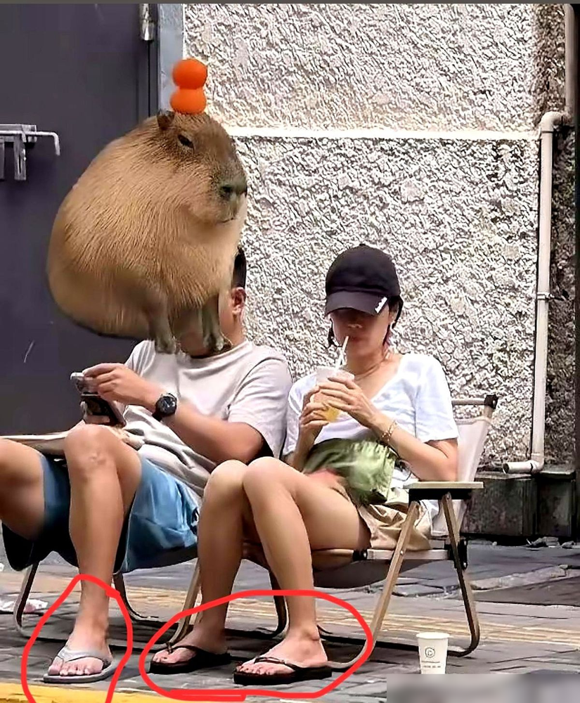 马伊琍穿着人字拖，素着脸，跟个中年男人在马路牙子边喝咖啡。没有保镖，没有妆发，连凳子都是自己搬的帆布