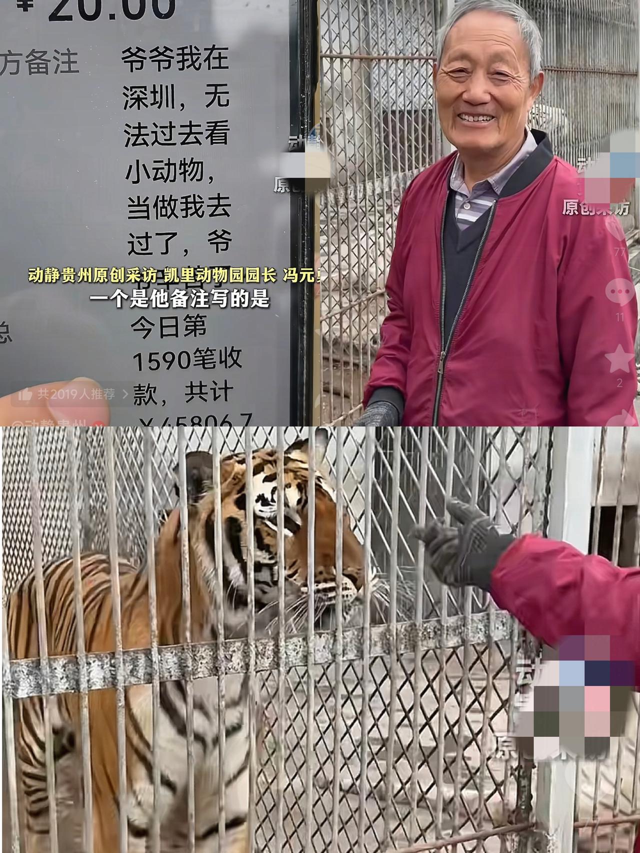 他是凯里动物园的园长,因为没有生意,长期自掏腰包喂养动物园的动物,有网友直接把他