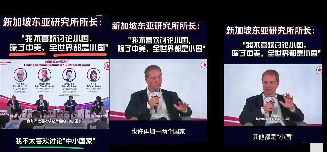要论“公开不给面子”,这美国教授是真敢说啊!在新加坡的论坛上直接放话,除了中美,