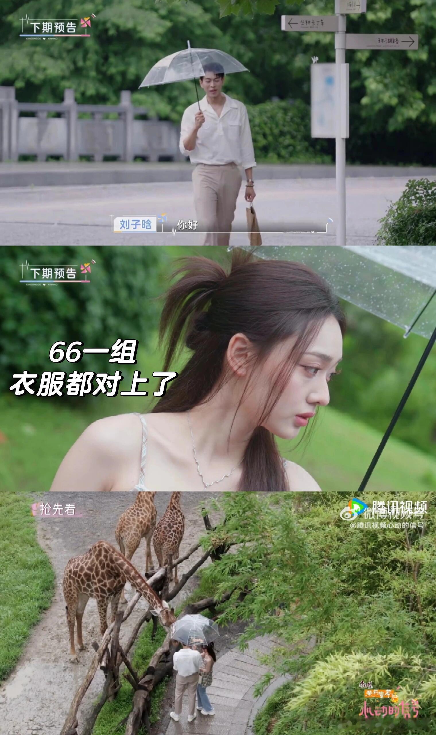 心动的信号心动8远行分组情况根据预告猜测的部分衣服都能对上部分没有衣